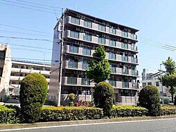 プラティークあらこ 505