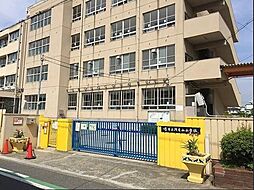 中古戸建　堺区浅香山町1丁