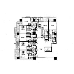 ミラコスタキタミ