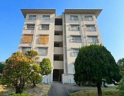 新金岡団地第二住宅四棟