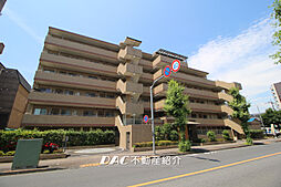 ルピナス河辺 501