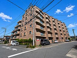 グリーンミユキ草加花栗