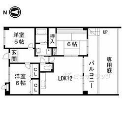 ミューズコート 203