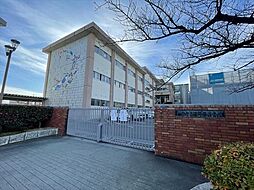 多加木2期　全3区画　3号地　建築条件なし土地