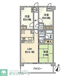 ベルドゥムール草加中央東 505