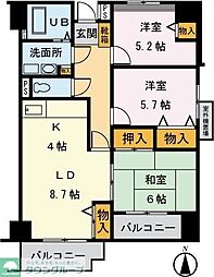 シーダーエクセレントII 501