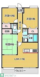 シュティーレマツバラ 705
