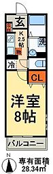 イースト　ラディアンス 301