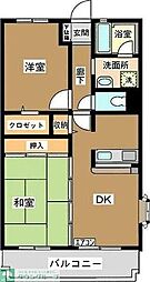 クレセール扇 505