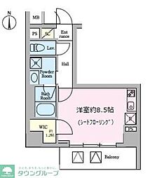 ＡＶＡＮＴＩ　ａｒａｔａｍａｂａｓｈｉ