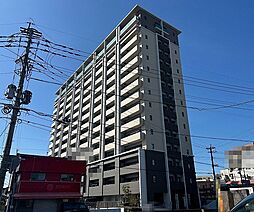 パーク・サンリヤン花畑