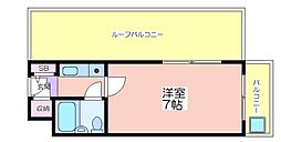 エトワール　オーク