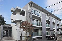 ADYはなみずき 205