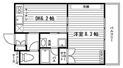 ADYはなみずき