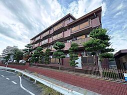 エクセレント丸太 302