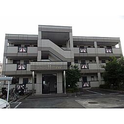 クイーンズタウンIII番館 202