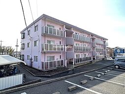 ロゼ湘南 307