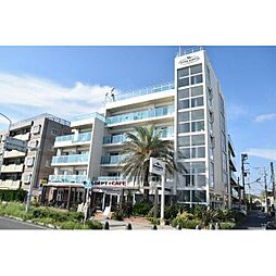 ドッグガーデンリゾート湘南江ノ島 406