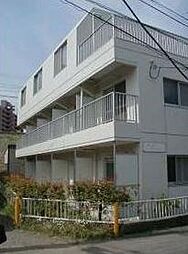 鵠沼ローゼンハイム 203