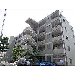 シグナス湘南 203