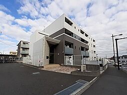 アングロ　フェリーチェ 202