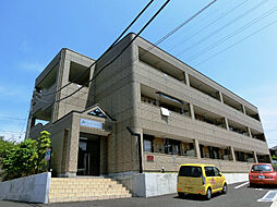 シィーエム・クイーン 303