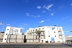 Palm Lounge　（パームラウンジ） 203