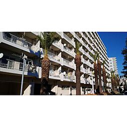 東急ドエルフェニックス 317