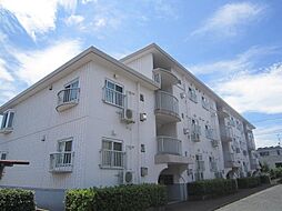 コートヴィレッジ 303