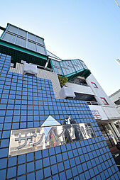 サンハイツ湘南 203