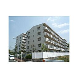 ヒルズ南戸塚3号棟 704