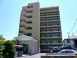 ゴールドウィン湘南 703