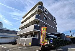 パールサラン 203