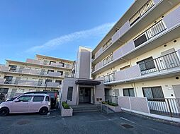ダンデライアン鵠沼 311
