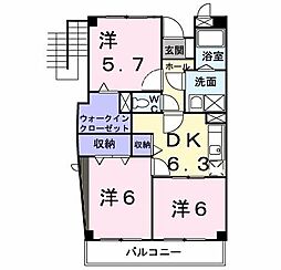 フィールド・ワン