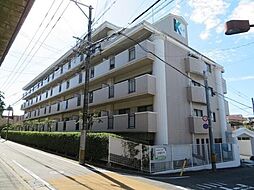 菊竹ビル金鶏
