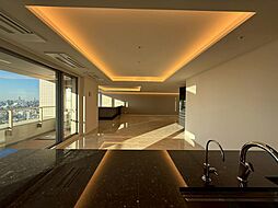 高輪ザ・レジデンス 4304