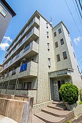 コレクション津田