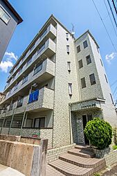 コレクション津田