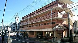 エバーグリーン