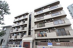 ダモールFUKUI