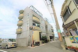 フリーディオ茄子作