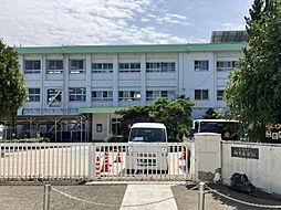 売土地 西垣生町