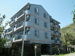 大福第10ビル 307