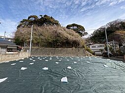 逗子市小坪　土地