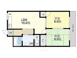 エバーグリーン