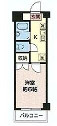 ハイムレグルス