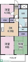 サンパレス心彰 302