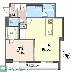 サントリナ 0201
