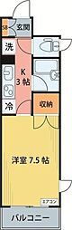 ラシーヌ木町通 203